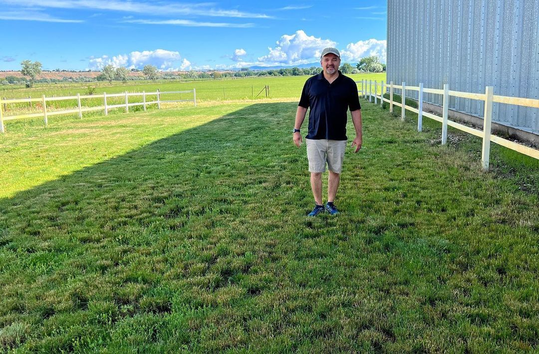Yard after removing goatheads with the Goathead Roller
